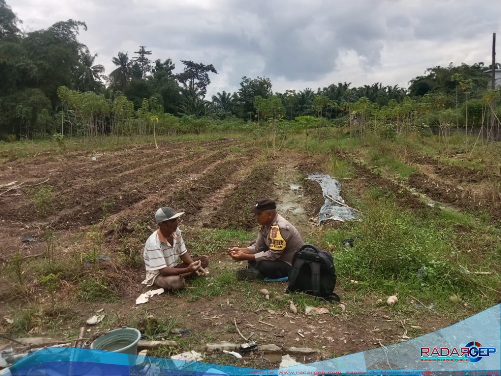 Bhabinkamtibmas Polsek Stabat Dukung Petani Lokal, Sambangi Lahan Pertanian di Desa Pantai Gemi